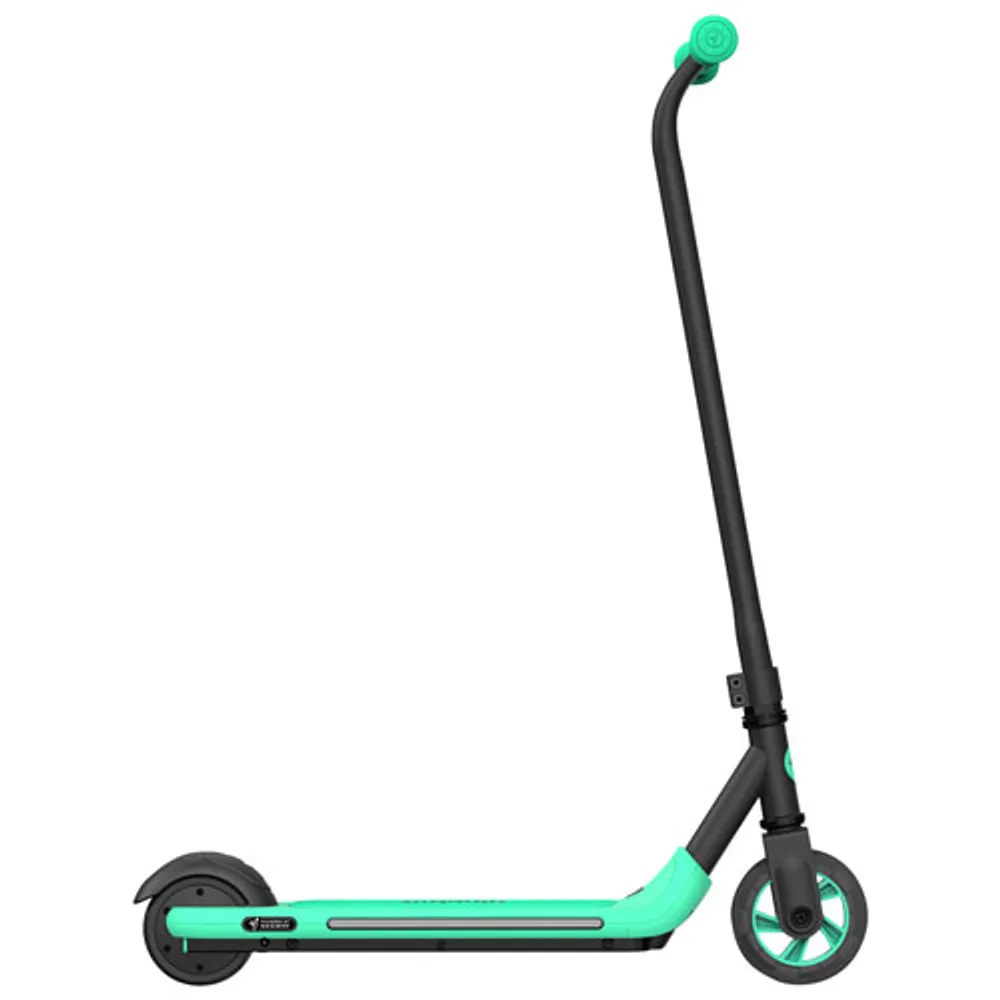 Trottinette électrique pour enfants Ninebot eKickScooter Zing A6 de Segway - Gris foncé/Vert