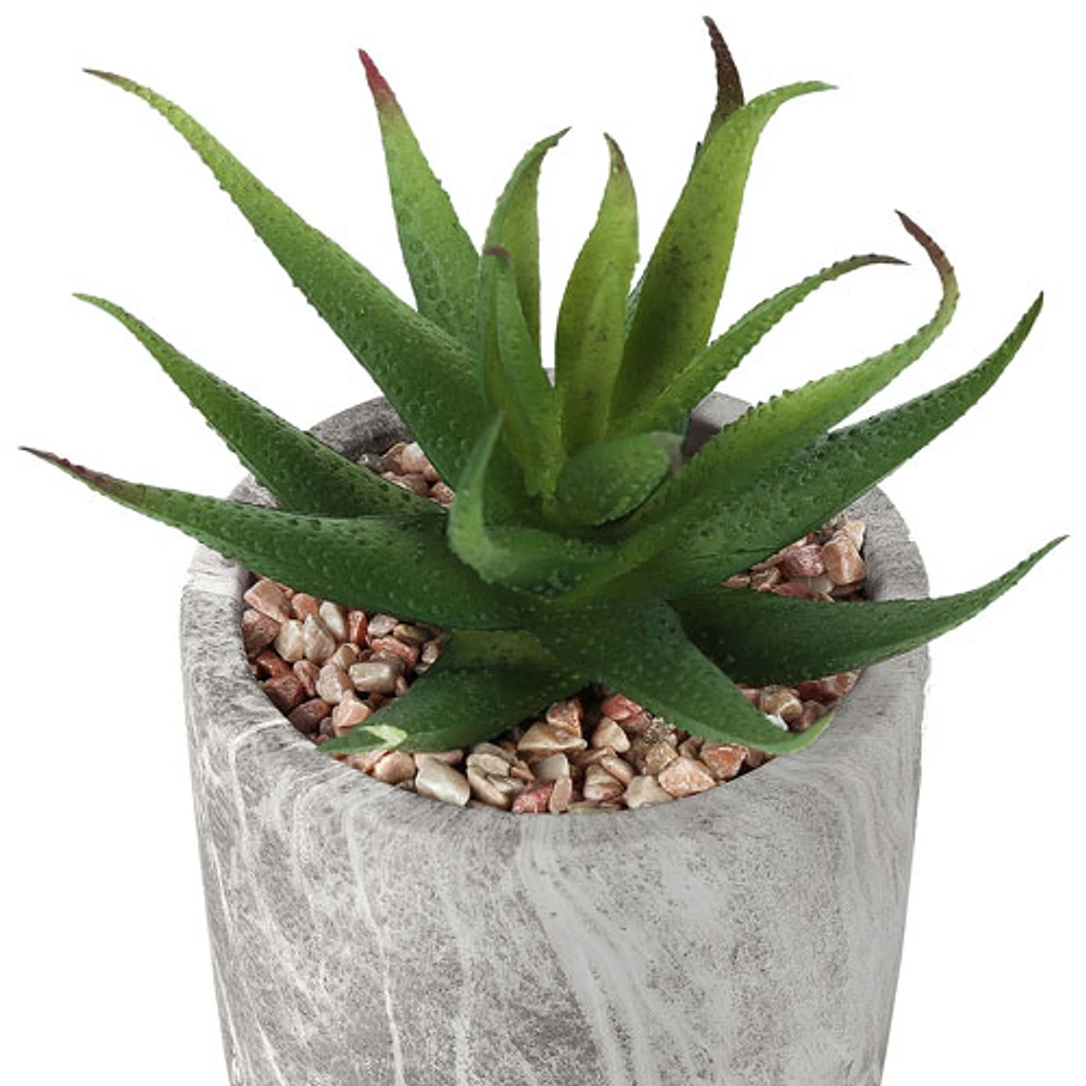 Monarch Artificial 7" Indoor Succulent Cement Plant Pot - 2 Pieces