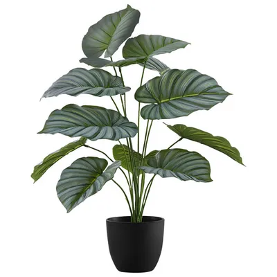 Monarch Artificial 24" Calathea Plant Pot