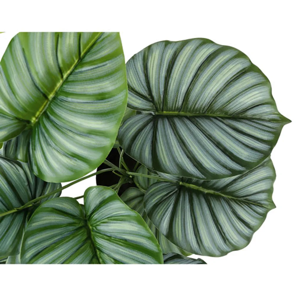 Monarch Artificial 24" Calathea Plant Pot