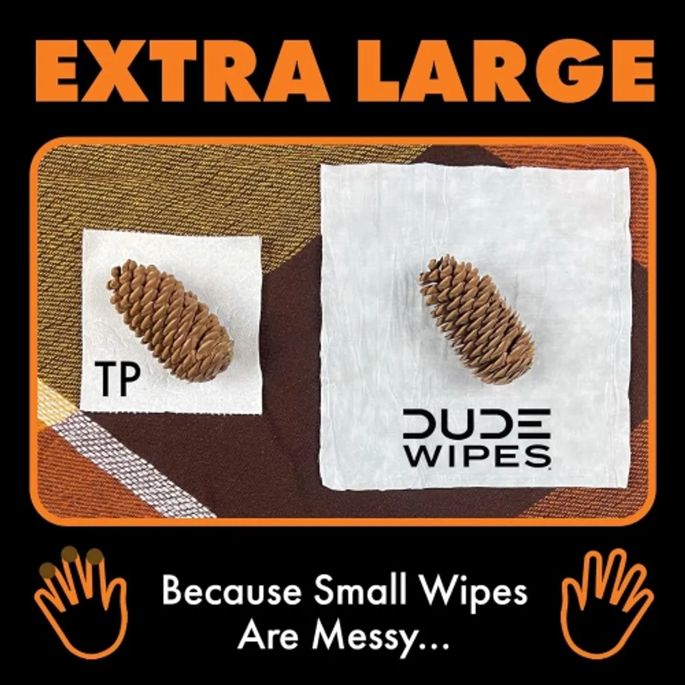 DUDE Wipes - Flushable Wipes - 3 Pack, 144 Wipes - Pumpkin Spice, Extra  Large