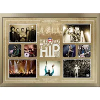 Frameworth The Tragically Hip: 2016 Tour Photo Collage Framed Canvas (22x18")