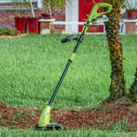 Sun Joe iON+ 24V 10" Cordless Blade Trimmer (24V-GT10-LTE)