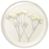PopSockets PopGrip Universal Cell Phone Expanding Grip & Stand - Pressed Baby's Breath