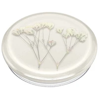 PopSockets PopGrip Universal Cell Phone Expanding Grip & Stand - Pressed Baby's Breath