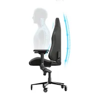 Blacklyte Athena Ergonomic High-Back Gaming Chair