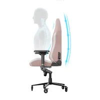 Blacklyte Athena Ergonomic High-Back Gaming Chair - Pink