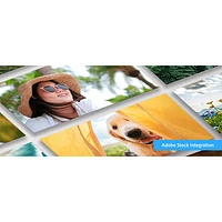 Adobe Photoshop Elements 2024 (PC/Mac) - 1 User - English