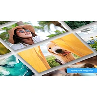 Adobe Photoshop Elements 2024 (PC/Mac) - 1 User - English