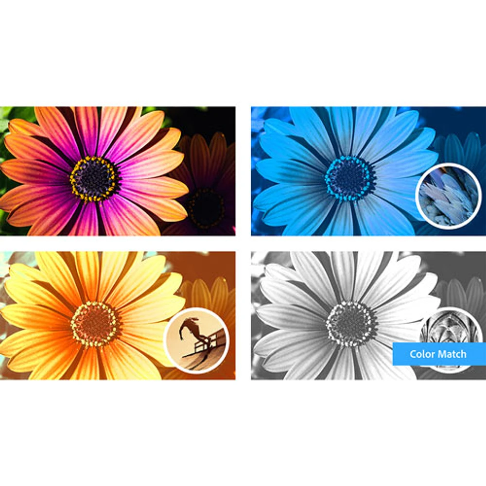 Adobe Photoshop Elements 2024 (PC/Mac) - 1 User - English