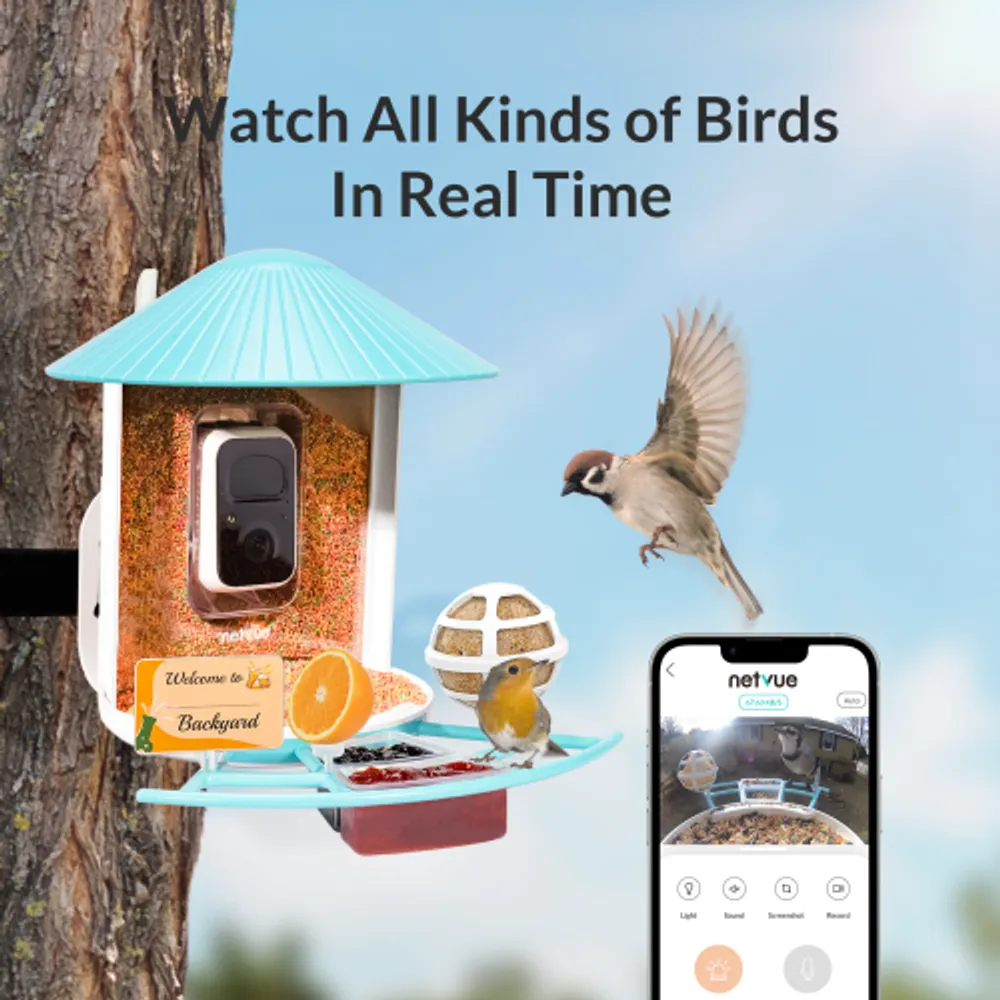 NETVUE Birdfy Lite - Smart Bird Watching Feeder with Auto Capture Videos &  Motion Detection, Wireless Camera Ideal Gift for Bird Lovers