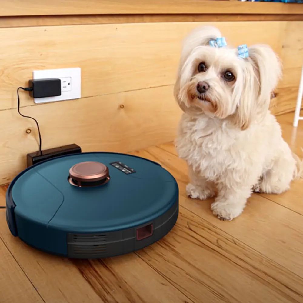 bObsweep Phoenix PetHair SLAM Robot Vacuum - Midnight