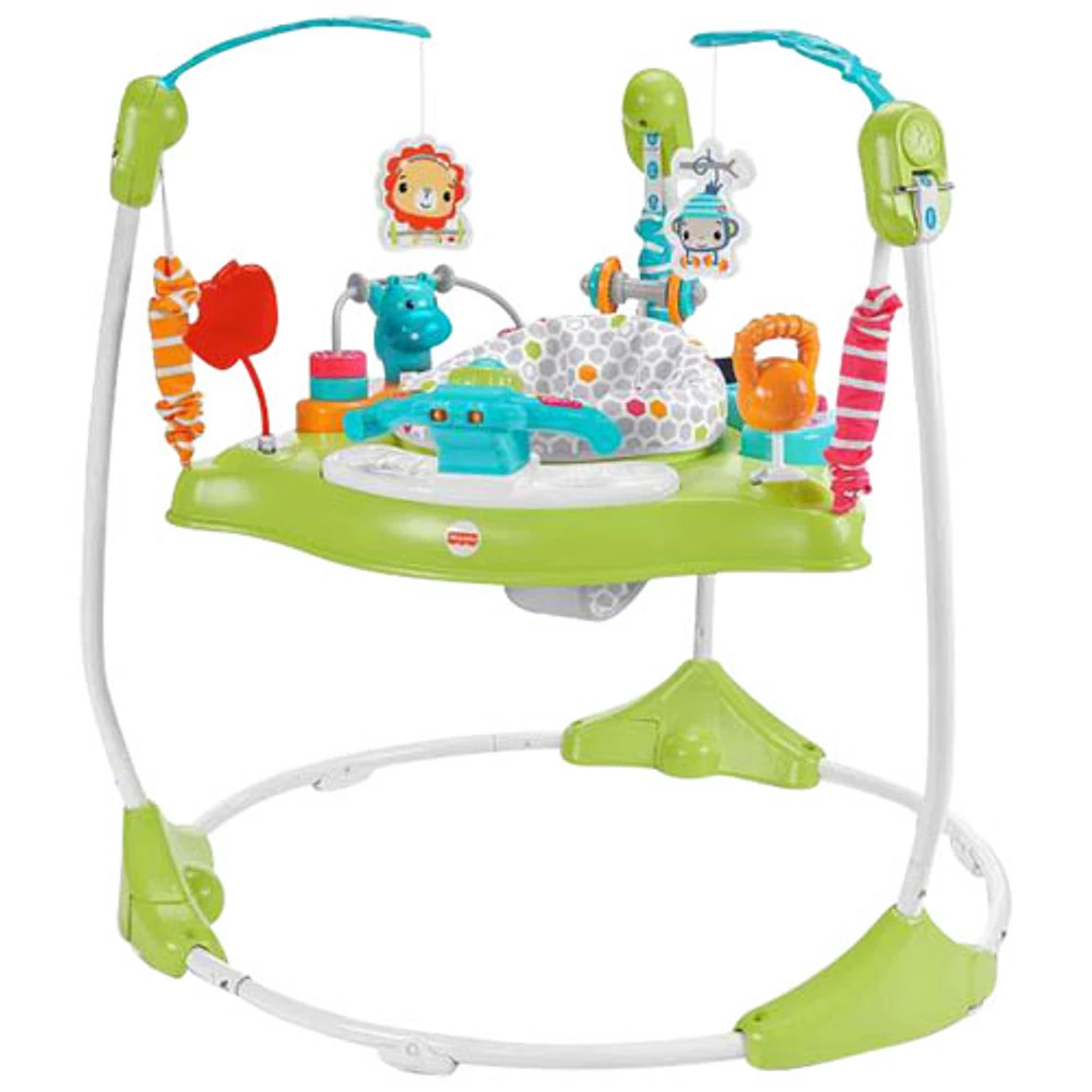 Siège sauteur pliable Fitness Fun Jumperoo de Fisher-Price