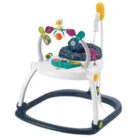 Fisher-Price Astro Kitty SpaceSaver Jumperoo