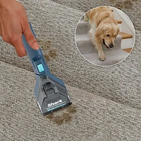 Aspirateur vertical pour tapis CarpetXpert EX200C de Shark - Bleu marine