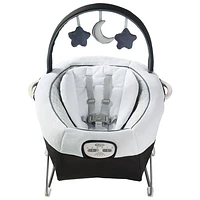 Graco Soothe 'n Sway LX Swing with Portable Bouncer