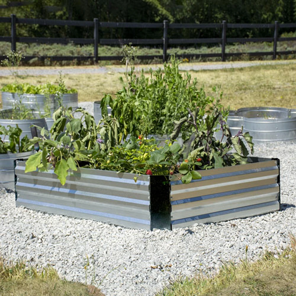 Grapevine Galvanized Steel Raised Garden Bed Box (PL10437 6A) - Silver