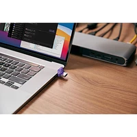 Clé USB 3.2 DataTraveler microDuo 3C 1 de 256 Go de Kingston