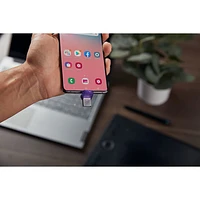 Clé USB 3.2 DataTraveler microDuo 3C 1 de 256 Go de Kingston