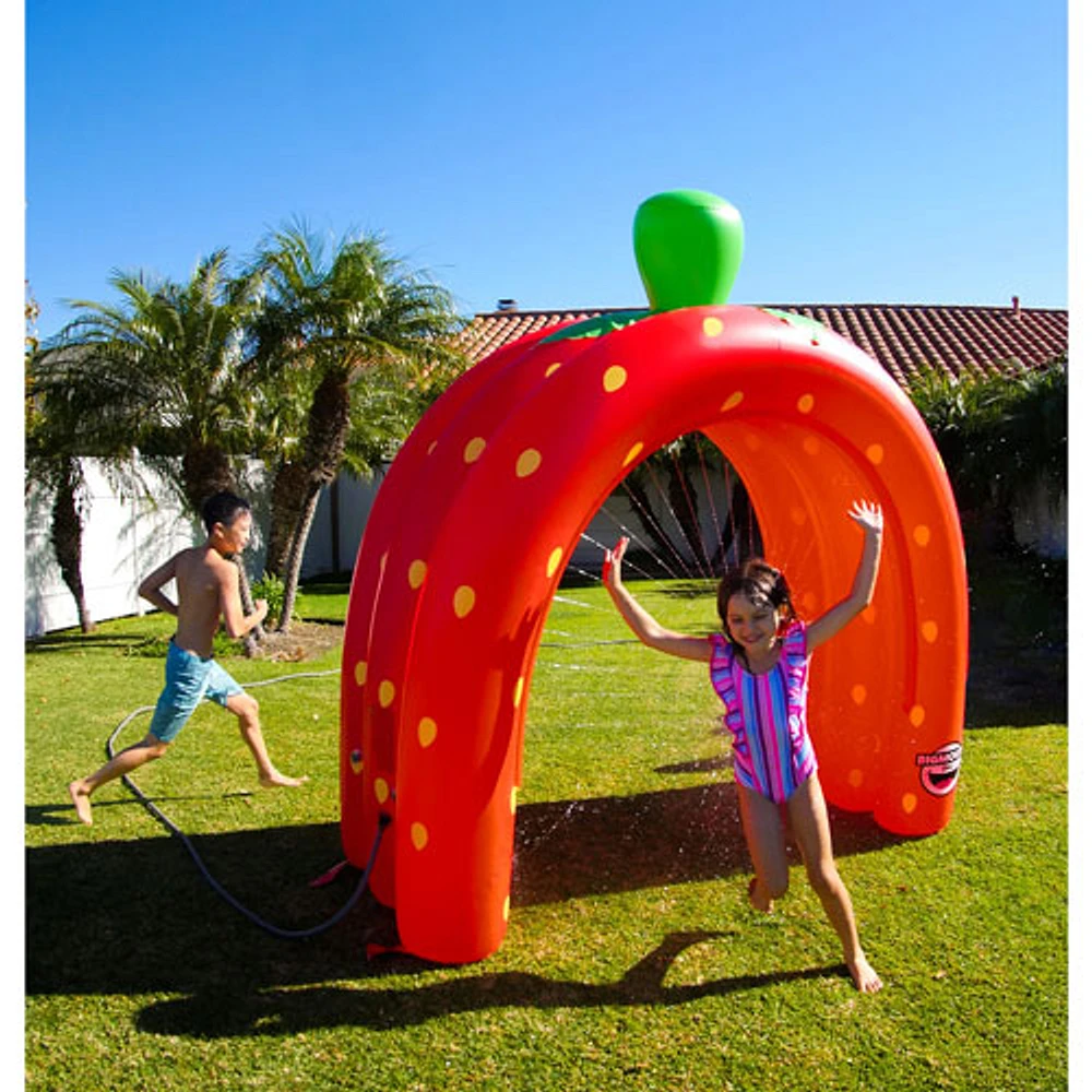 WOW Sports Strawberry Tunnel Sprinkler