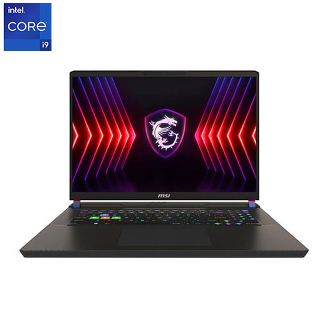 MSI Vector 17 Series 17" Gaming Laptop -Cosmos Grey (Intel Core i9-14900HX /1TB/32GB RAM/GeForce RTX 4070)