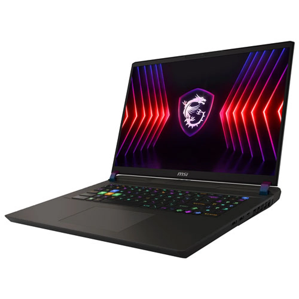 MSI Vector 17 Series 17" Gaming Laptop -Cosmos Grey (Intel Core i9-14900HX /1TB/32GB RAM/GeForce RTX 4070)