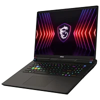 MSI Vector 17 Series 17" Gaming Laptop -Cosmos Grey (Intel Core i9-14900HX /1TB/32GB RAM/GeForce RTX 4070)