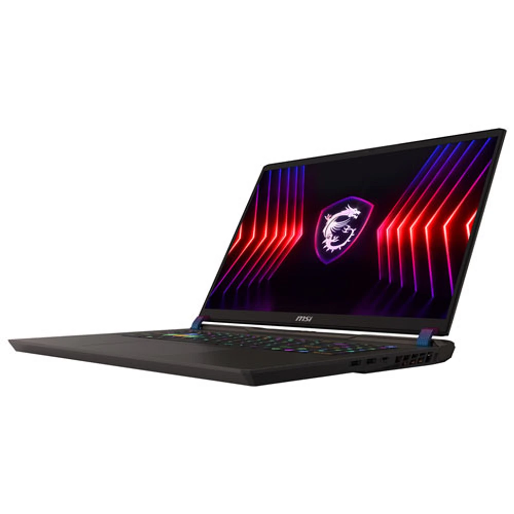 MSI Vector 17 Series 17" Gaming Laptop -Cosmos Grey (Intel Core i9-14900HX /1TB/32GB RAM/GeForce RTX 4070)