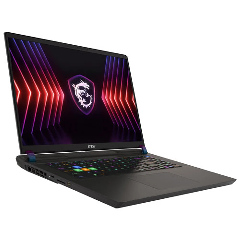 MSI Vector 17 Series 17" Gaming Laptop -Cosmos Grey (Intel Core i9-14900HX /1TB/32GB RAM/GeForce RTX 4070)