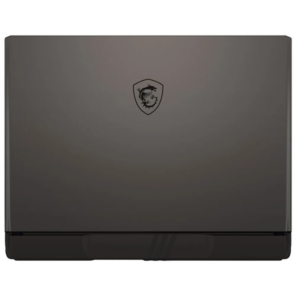 MSI Vector 17 Series 17" Gaming Laptop -Cosmos Grey (Intel Core i9-14900HX /1TB/32GB RAM/GeForce RTX 4070)