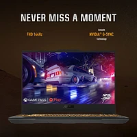 ASUS TUF Gaming F17 17.3" Gaming Laptop