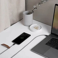 Câble USB-C à USB-C de 1,2 m (3,9 pi) de Native Union (BELT-C-ZEB-2-NP) - Zèbre