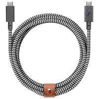 Native Union 2.4m (7.9 ft.) USB-C to USB-C Cable (BELT-C-ZEB-PRO-NP) - Zebra
