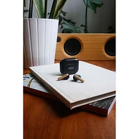 House Of Marley Little Bird In-Ear Sound Isolating True Wireless Earbuds - Black