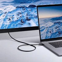 Anker ThunderBolt 4.0 0.7m (2.3 ft.) USB-C to USB-C Cable (A8859H11-5) - Grey