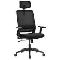 Naz Expert Ergonomic Mesh Executive Chair with Headrest - Black