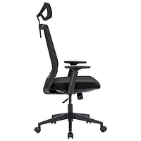 Naz Expert Ergonomic Mesh Executive Chair with Headrest - Black