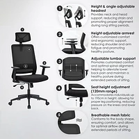 Naz Expert Ergonomic Mesh Executive Chair with Headrest - Black