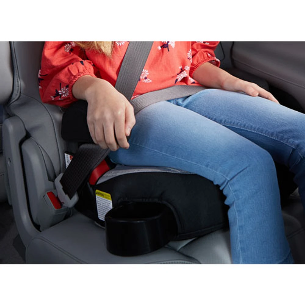 Graco TurboBooster Backless Booster Car Seat - Rio