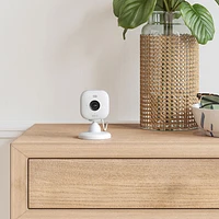 Caméra IP HD 1080p d'extérieur/d'intérieur Wi-Fi Mini 2 de Blink