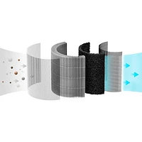 Filtre OdourStop à 3 niveaux de Smartmi (ZMFL-P1-C)