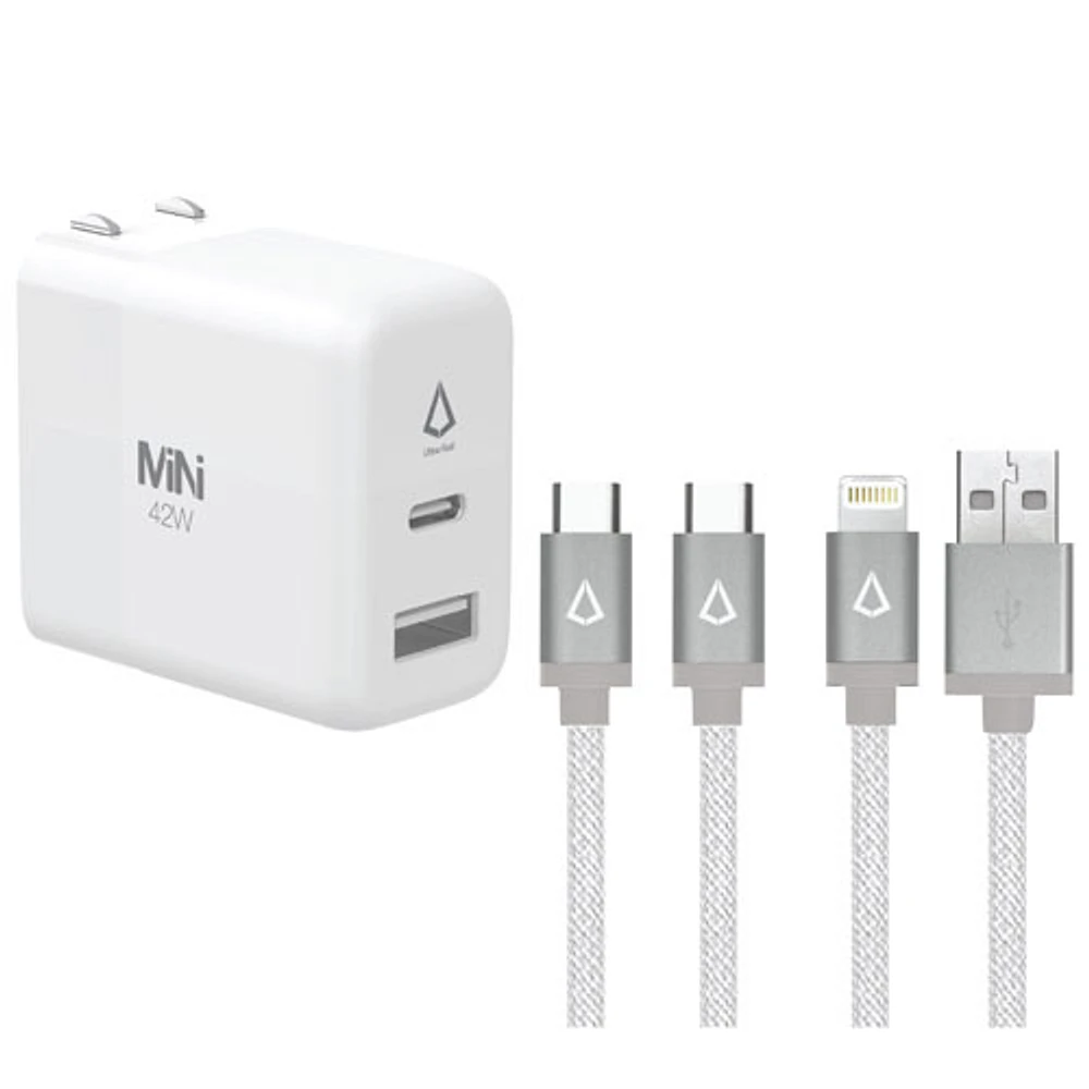 LBT 42W USB-C/USB-A Ports Wall Charger with 5 ft USB-C to C Cable & USB-A to Lightning Cable