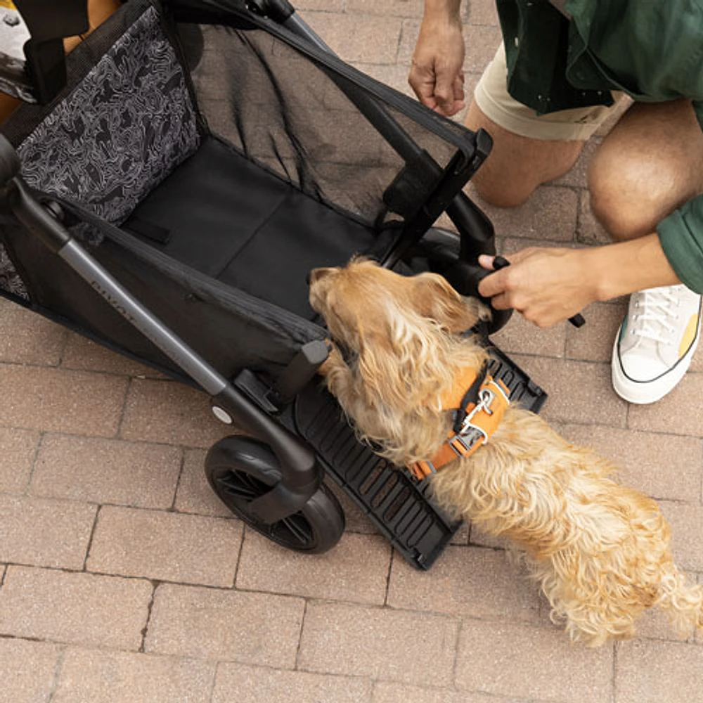 Evenflo Pivot Troop Child & Pet Modular Stroller with LiteMax Infant Car Seat - Rhodesboro Black