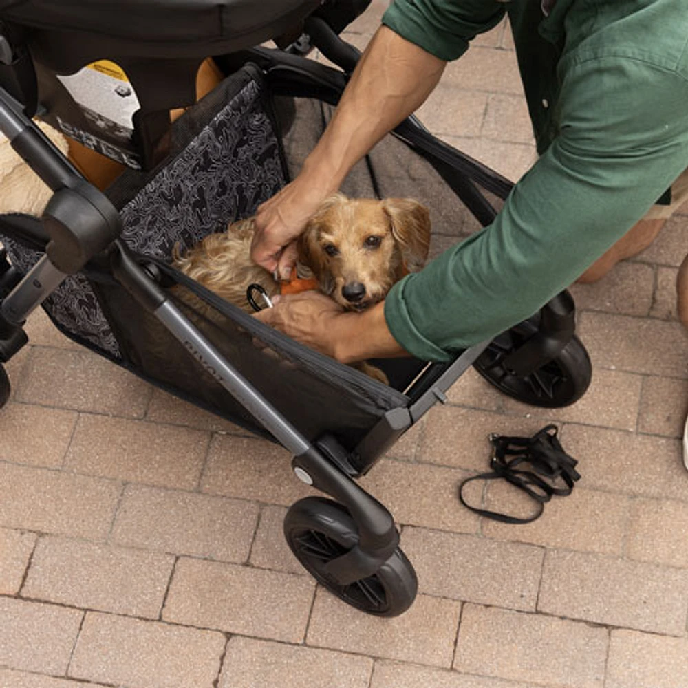 Evenflo Pivot Troop Child & Pet Modular Stroller with LiteMax Infant Car Seat - Rhodesboro Black