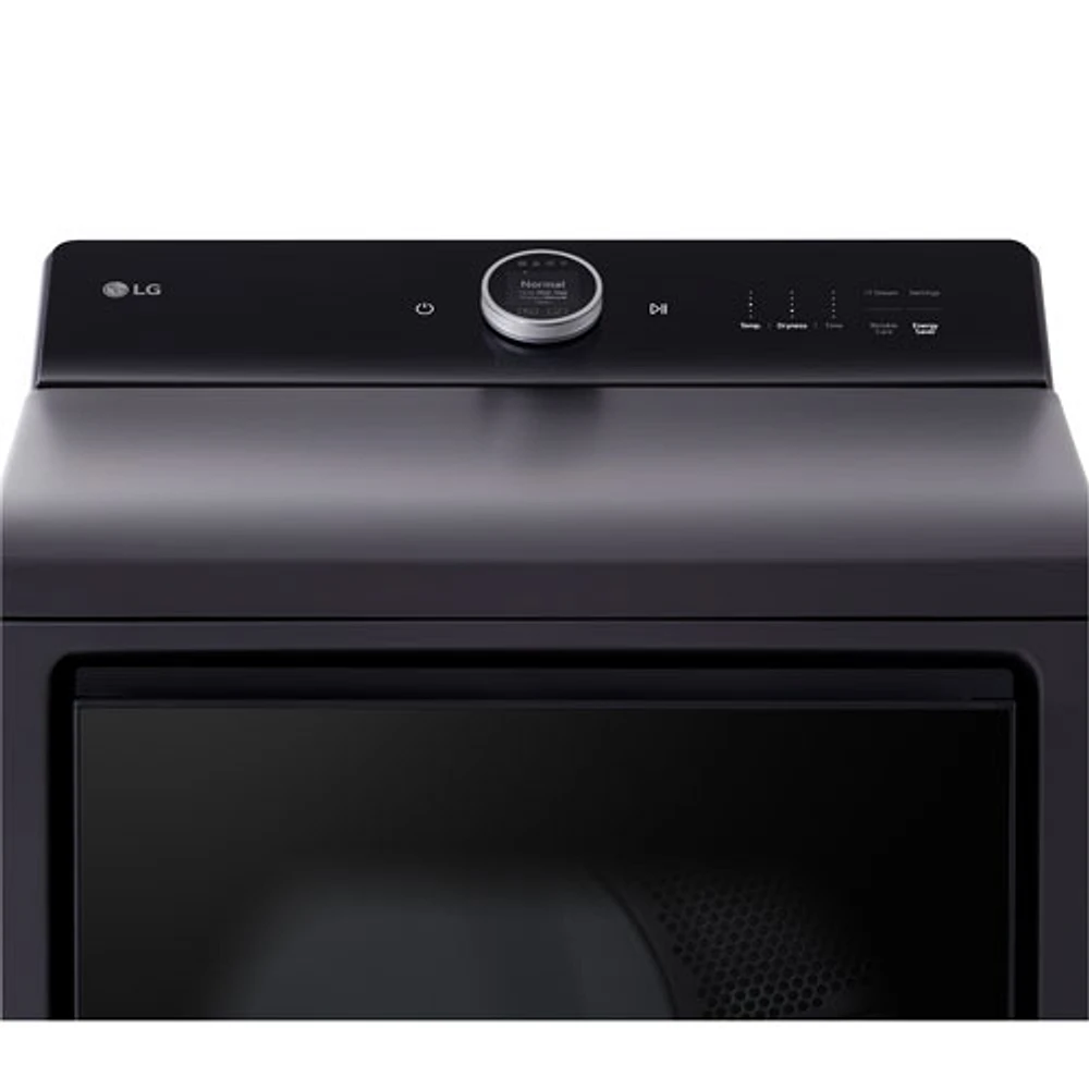 LG EasyLoad 7.3 Cu. Ft. Electric Steam Dryer (DLEX8600BE) - Matte Black