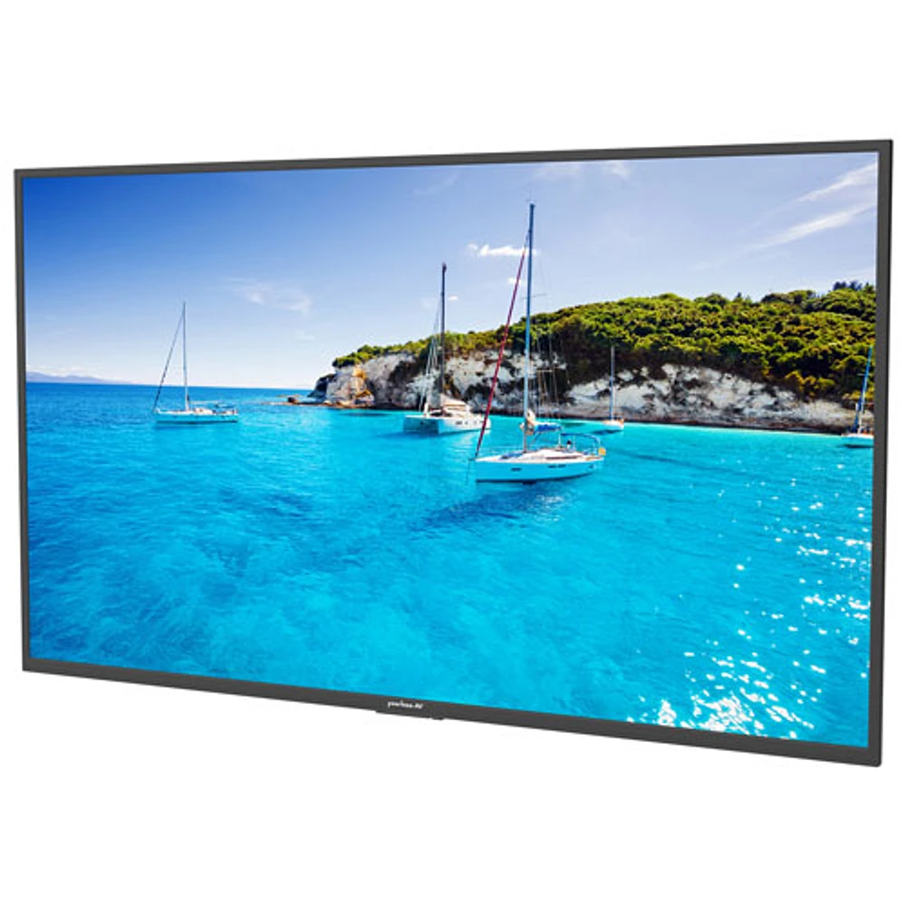 Téléviseur intelligent d'extérieur webOS HDR DEL UHD 4K de 55 po Full Sun de Neptune (ODTV5504)