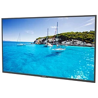 Neptune Full Sun 55" 4K UHD HDR LED webOS Outdoor Smart TV (ODTV5504)