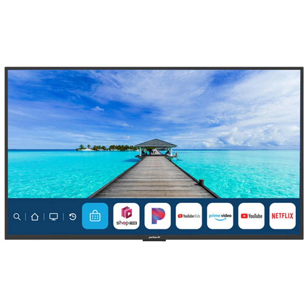 Téléviseur intelligent d'extérieur webOS HDR DEL UHD 4K de 55 po Full Sun de Neptune (ODTV5504)