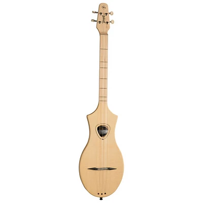 Seagull M4 Acoustic Guitar