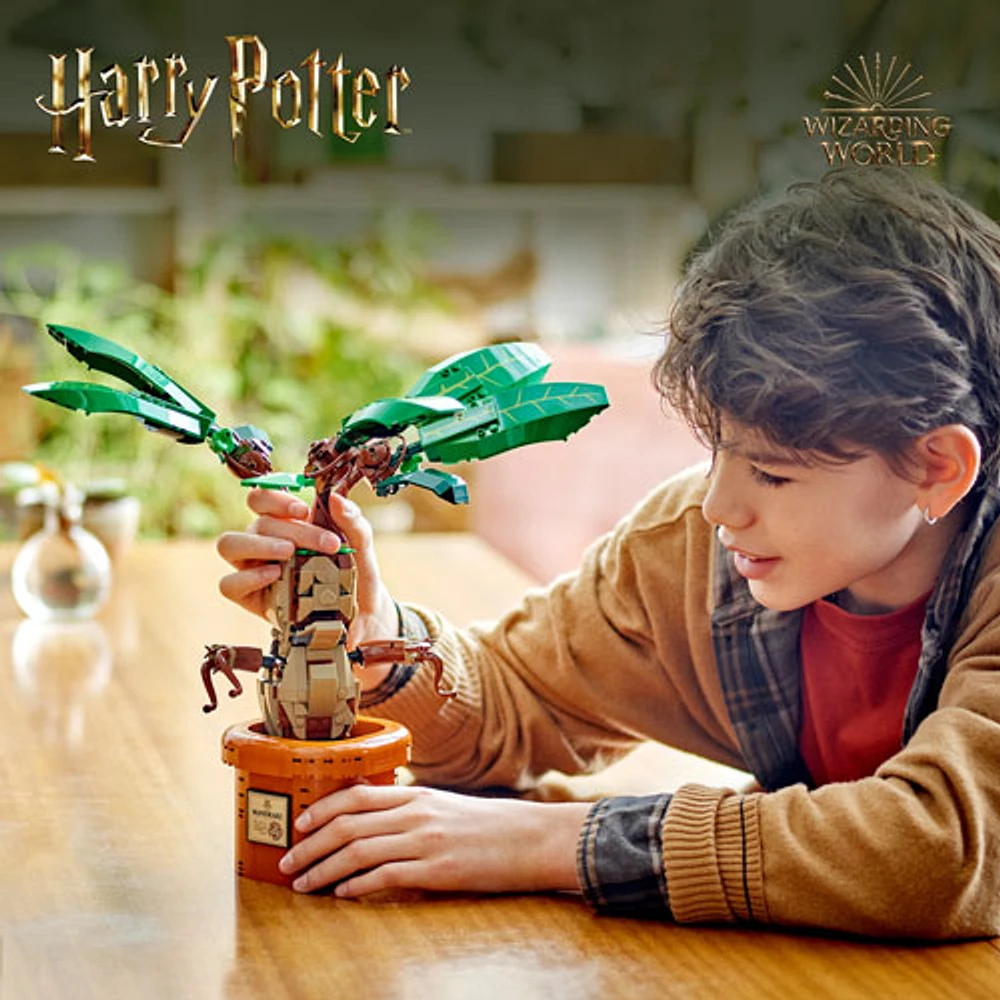 LEGO Harry Potter: Mandrake - 579 Pieces (76433)